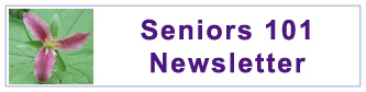 Seniors 101 Newsletter