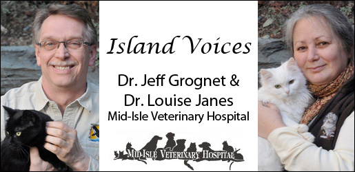 Mid-Isle Veterinary Hospital