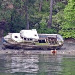 Derelict & abandoned vessels, illegal mooring buoys and human waste dumping are constantly polluting the shore lines of Coastal Vancouver Island. Seniors 101 promotes the products and services that available for seniors on Vancouver Island 