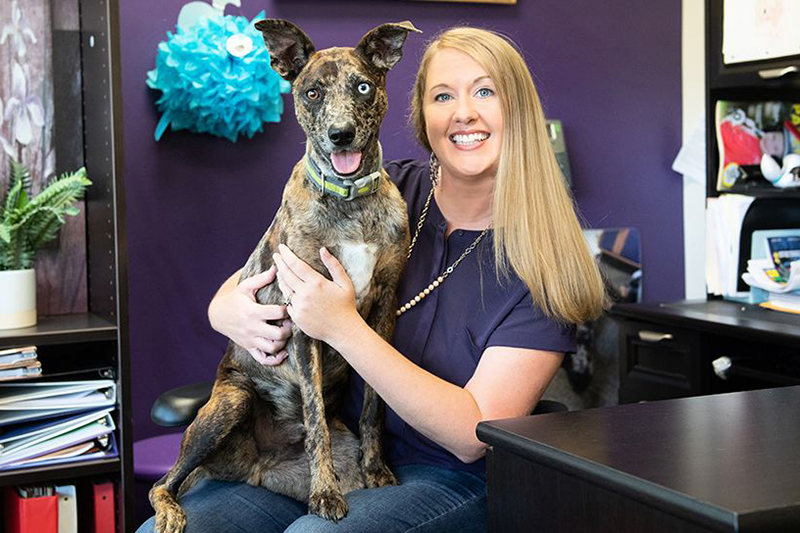 Healing Hounds Dog Therapy in Victoria, BC