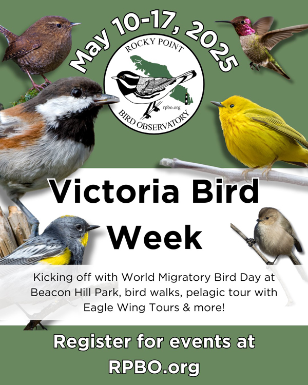 Seniors 101 Vancouver Island Coming Events